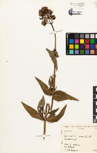 SW_BNB_s3080-01986_IMG-0000000001