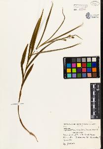 SW_BNB_s3080-01989_IMG-0000000001