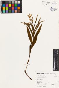 SW_BNB_s3080-01991_IMG-0000000001