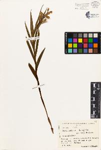 SW_BNB_s3080-01992_IMG-0000000001