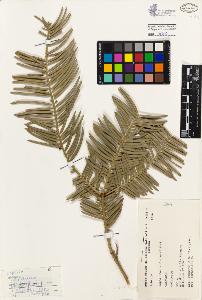 SW_BNB_s3080-01994_IMG-0000000001