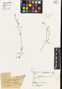 SW_BNB_s3080-01998_IMG-0000000001