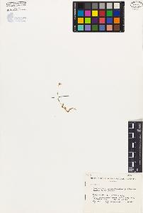 SW_BNB_s3080-02003_IMG-0000000001