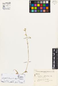 SW_BNB_s3080-02008_IMG-0000000001
