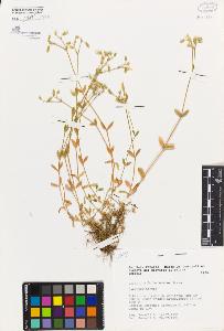 SW_BNB_s3080-02009_IMG-0000000001
