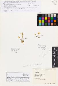 SW_BNB_s3080-02012_IMG-0000000001