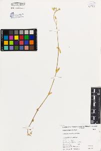 SW_BNB_s3080-02013_IMG-0000000001