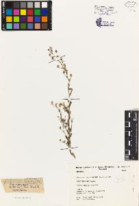 SW_BNB_s3080-02023_IMG-0000000001