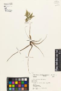 SW_BNB_s3080-02026_IMG-0000000001