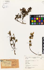 SW_BNB_s3080-02039_IMG-0000000001