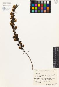 SW_BNB_s3080-02044_IMG-0000000001