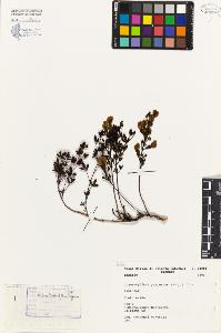 SW_BNB_s3080-02045_IMG-0000000001