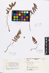 SW_BNB_s3080-02048_IMG-0000000001