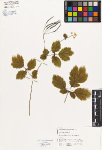 SW_BNB_s3080-02050_IMG-0000000001