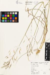 SW_BNB_s3080-02057_IMG-0000000001