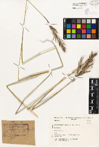 SW_BNB_s3080-02058_IMG-0000000001