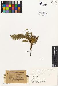 SW_BNB_s3080-02065_IMG-0000000001