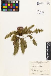 SW_BNB_s3080-02066_IMG-0000000001