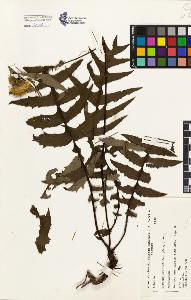 SW_BNB_s3080-02070_IMG-0000000001