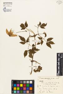 SW_BNB_s3080-02082_IMG-0000000001