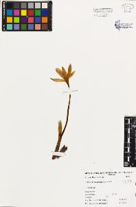SW_BNB_s3080-02094_IMG-0000000001