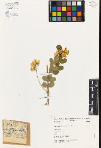 SW_BNB_s3080-02095_IMG-0000000001