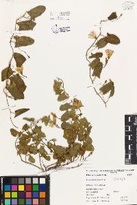SW_BNB_s3080-02101_IMG-0000000001