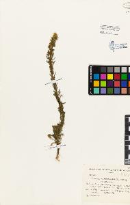 SW_BNB_s3080-02103_IMG-0000000001
