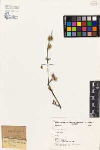 SW_BNB_s3080-02109_IMG-0000000001