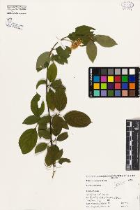 SW_BNB_s3080-02113_IMG-0000000001