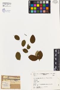 SW_BNB_s3080-02144_IMG-0000000001
