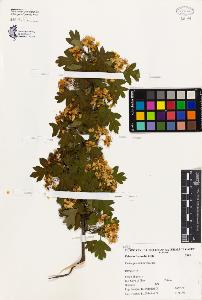 SW_BNB_s3080-02147_IMG-0000000001