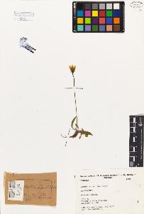 SW_BNB_s3080-02156_IMG-0000000001
