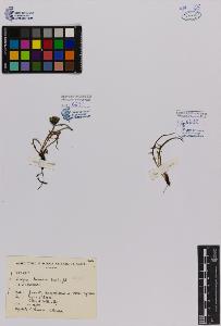 SW_BNB_s3080-02164_IMG-0000000001