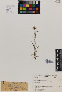 SW_BNB_s3080-02166_IMG-0000000001