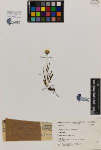 SW_BNB_s3080-02167_IMG-0000000001