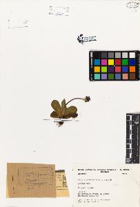 SW_BNB_s3080-02170_IMG-0000000001