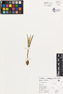 SW_BNB_s3080-02175_IMG-0000000001