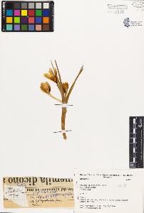 SW_BNB_s3080-02176_IMG-0000000001