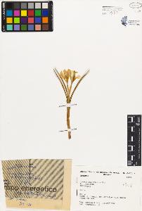 SW_BNB_s3080-02177_IMG-0000000001