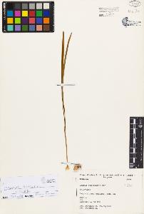 SW_BNB_s3080-02178_IMG-0000000001