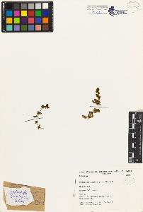 SW_BNB_s3080-02182_IMG-0000000001
