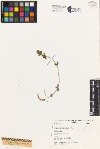 SW_BNB_s3080-02184_IMG-0000000001