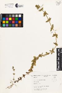 SW_BNB_s3080-02189_IMG-0000000001
