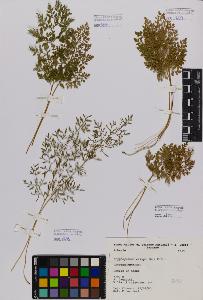 SW_BNB_s3080-02191_IMG-0000000001