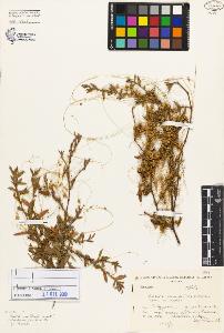 SW_BNB_s3080-02199_IMG-0000000001