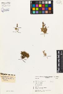 SW_BNB_s3080-02200_IMG-0000000001
