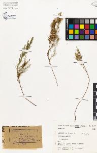 SW_BNB_s3080-02203_IMG-0000000001