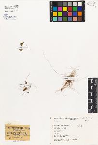 SW_BNB_s3080-02204_IMG-0000000001