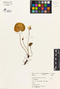 SW_BNB_s3080-02205_IMG-0000000001